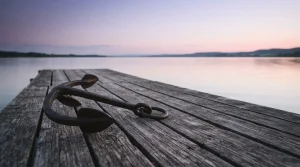 Metallanker auf einem Holzsteg neben ruhigem Wasser
